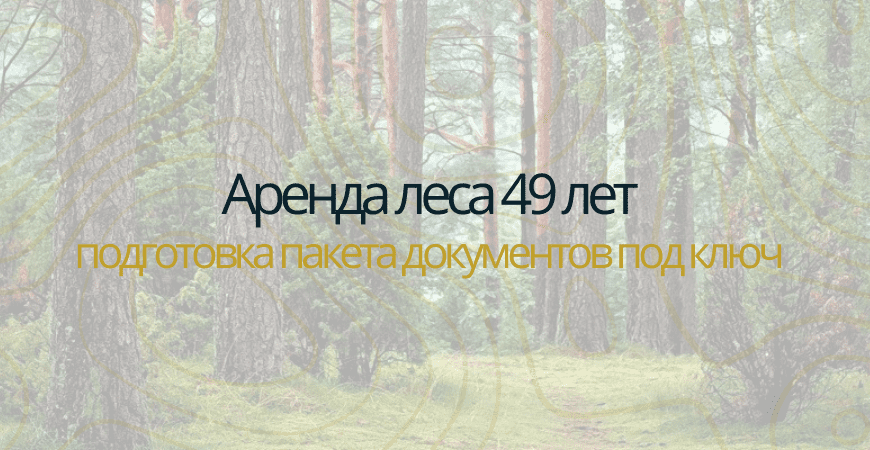 Аренда леса на 49 лет в Городище